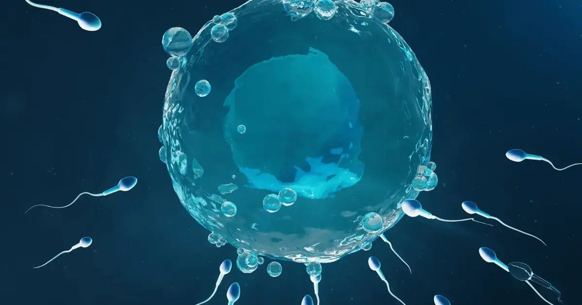 Factors Impacting Male Infertility